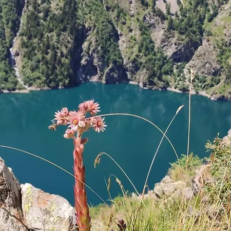 Alpesi faház Les Ecrins Vénosc